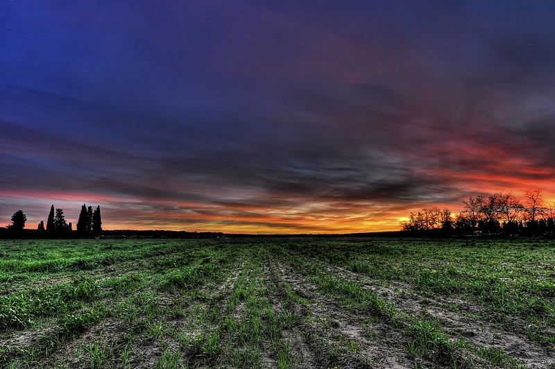 נגיעות אחרונות של השמש