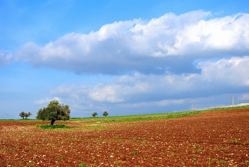 בקרוב לא יהיה יבש