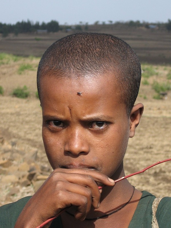 צילום: אמיר ישראלי