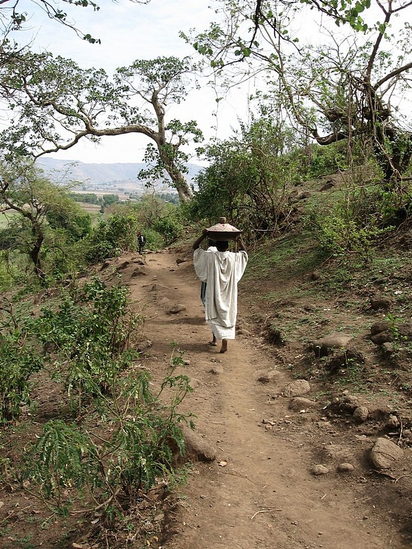 צילום: אמיר ישראלי