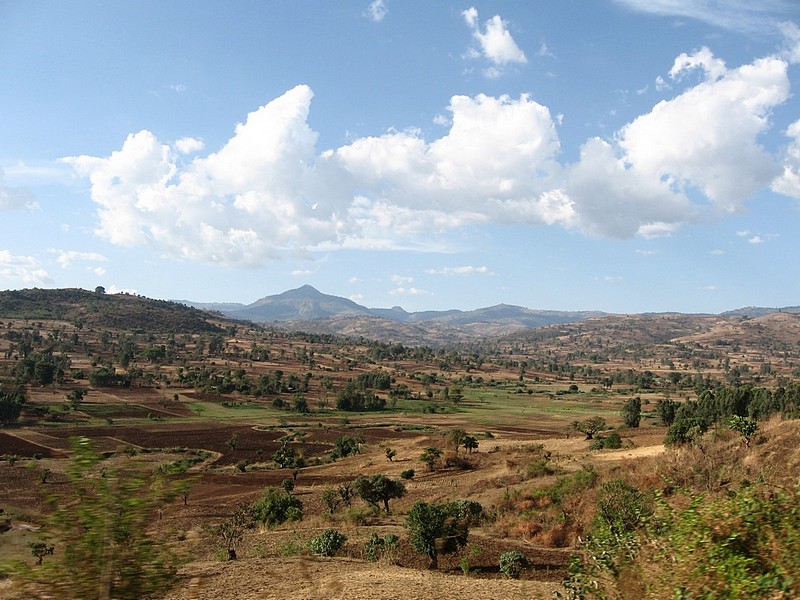 צילום: אמיר ישראלי