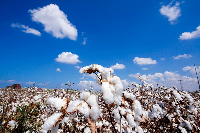 בין שמיים לארץ