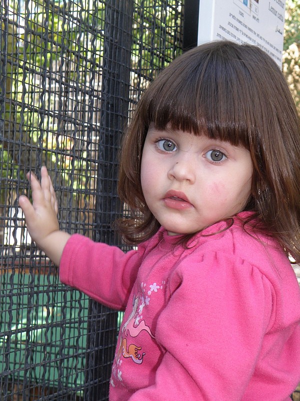 צילום: תומר בן דוד