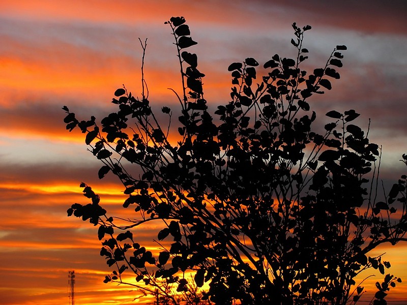 שקיעה של ברכה