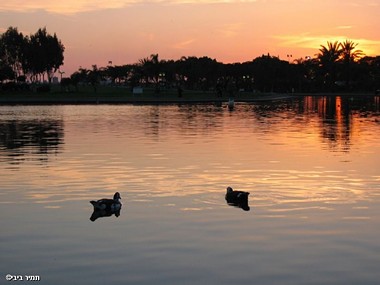 צילום: תמיר ביבי