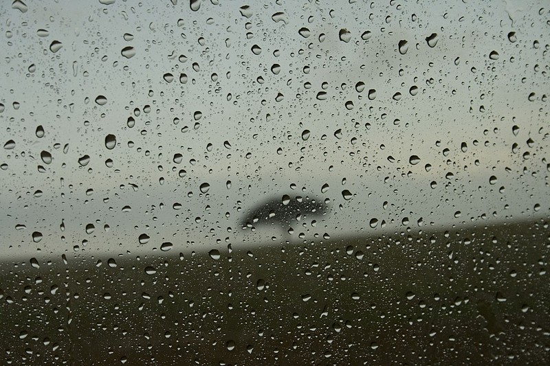 צילום: תמר שחל