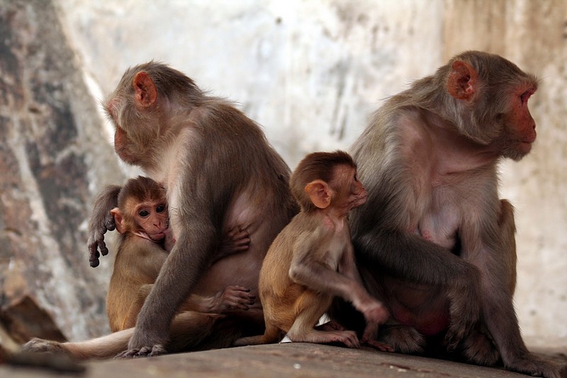 צילום: שירלי וייס