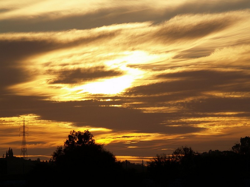 בן קודש לחול 