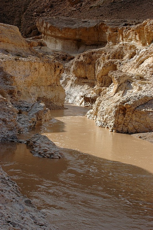 צילום: מאיר זילברמן