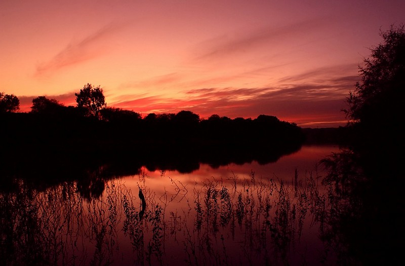 לקראת ערב בראשון לציון