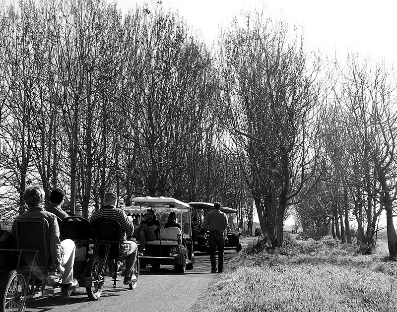  והשיירה  עוברת ...