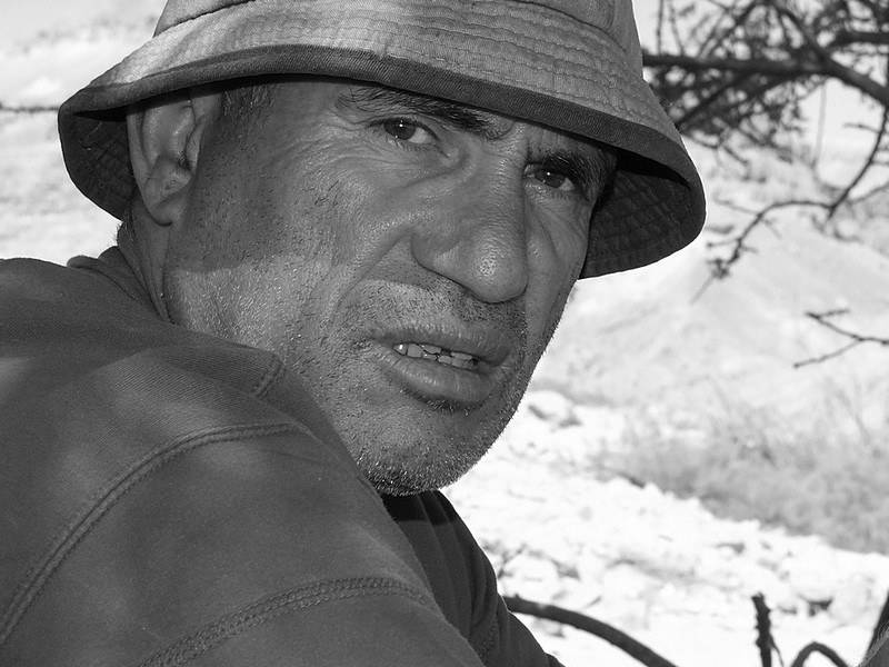 צילום:  יוסי לוי