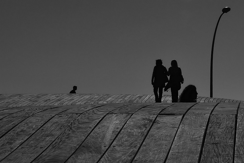 בשביל ההולכים