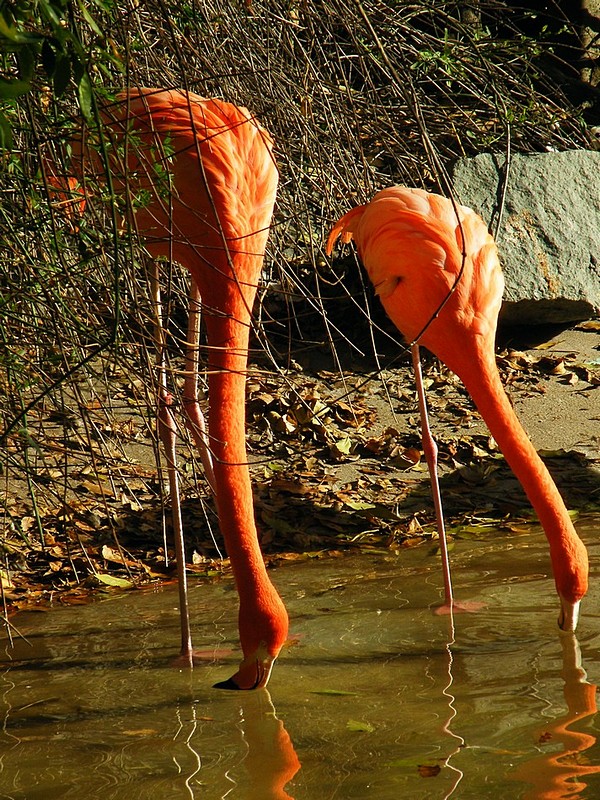 צילום: Daphna R