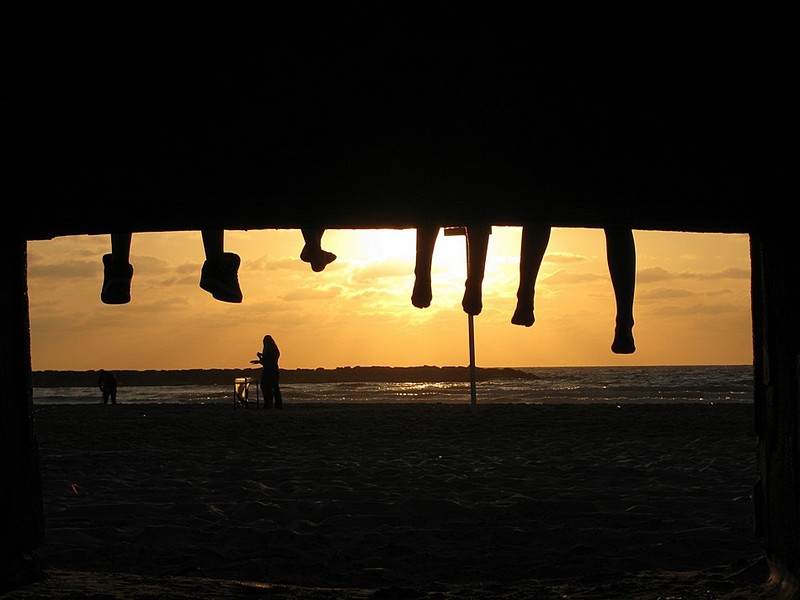 צילום: עמרי ארד