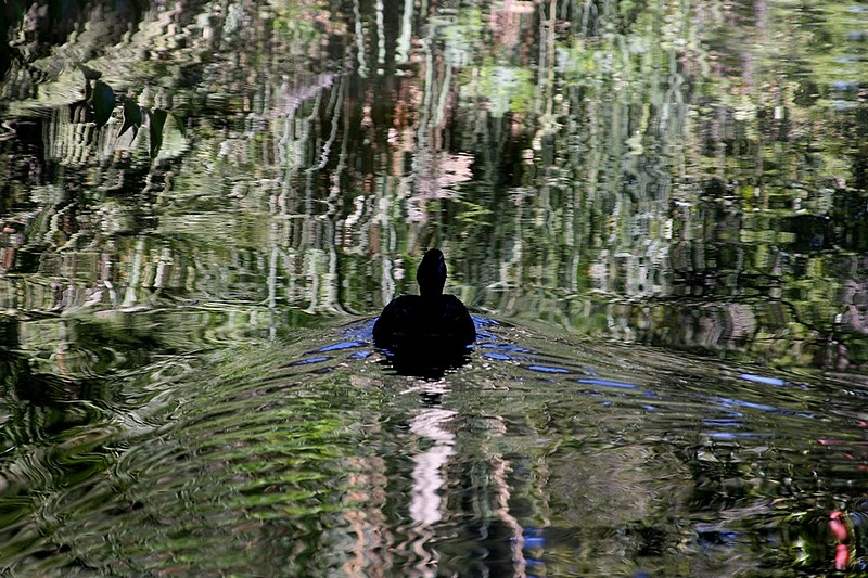 בין מציאות להשתקפות
