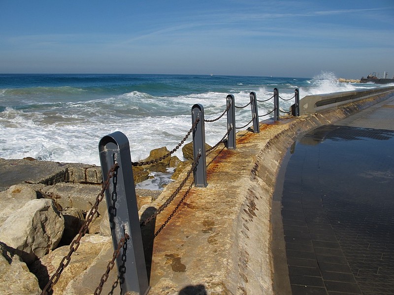 צילום: גל קליינמן