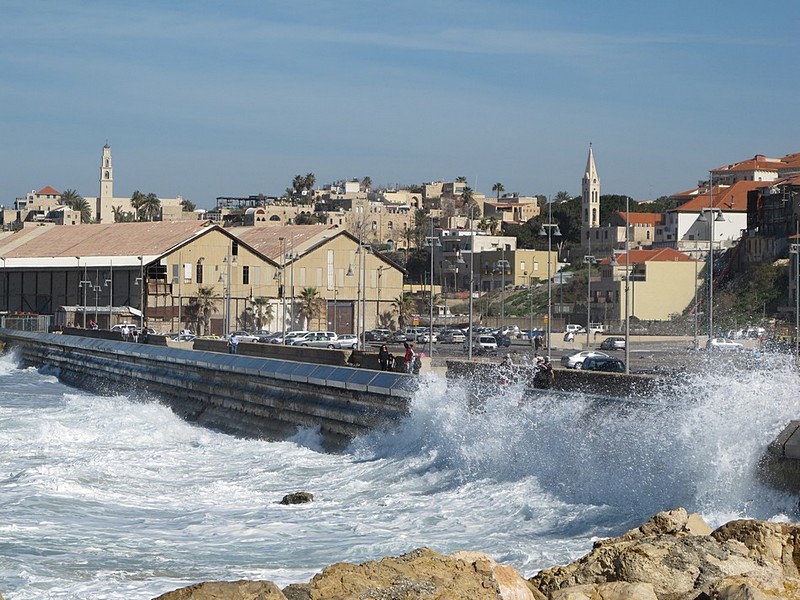 צילום: גל קליינמן