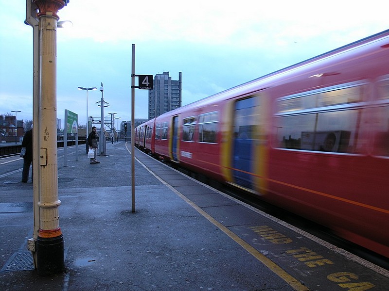 צילום: תמר גרושקא