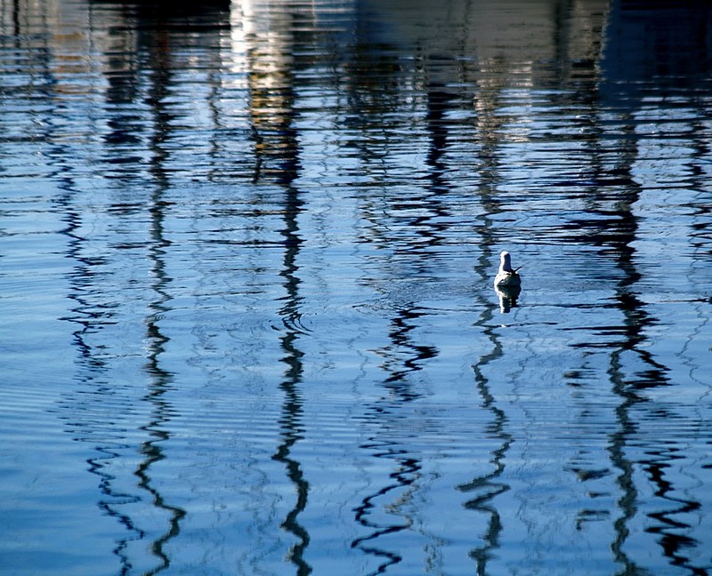 רק על הקווים.....