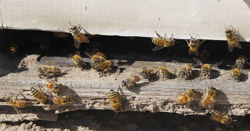 צוות לעניין