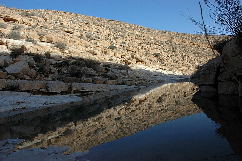 השתקפות במדבר