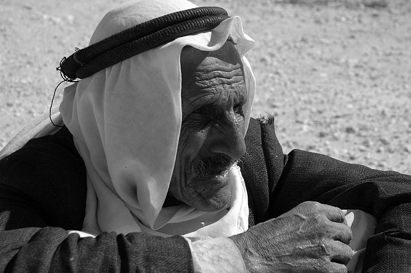 צילום:  יוסי לוי