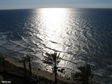 צילום: בעז לביא