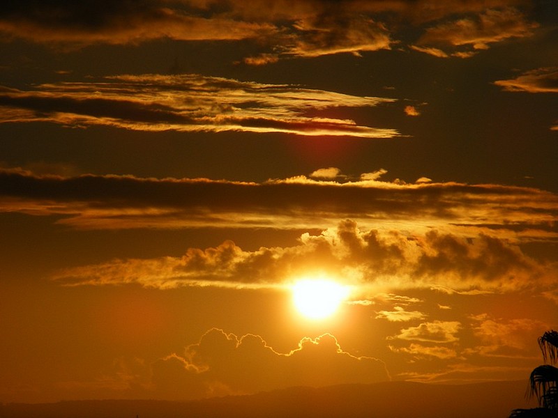 אישתי הצלמת המוכשרת