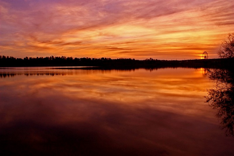 שטיח על המים