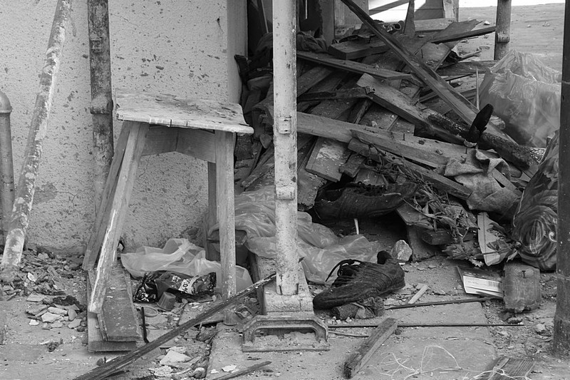 צילום: דנה א