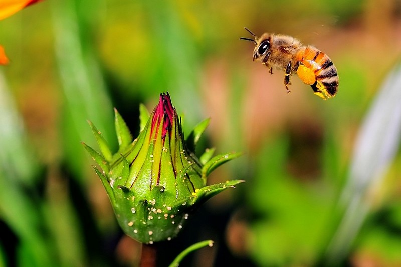 Landing on top