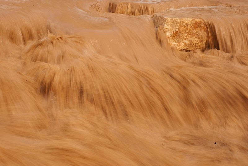 צילום: ליאור בן גיגי
