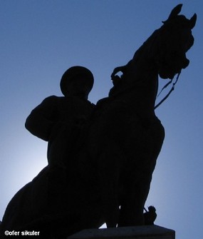 צילום: ofer sikuler