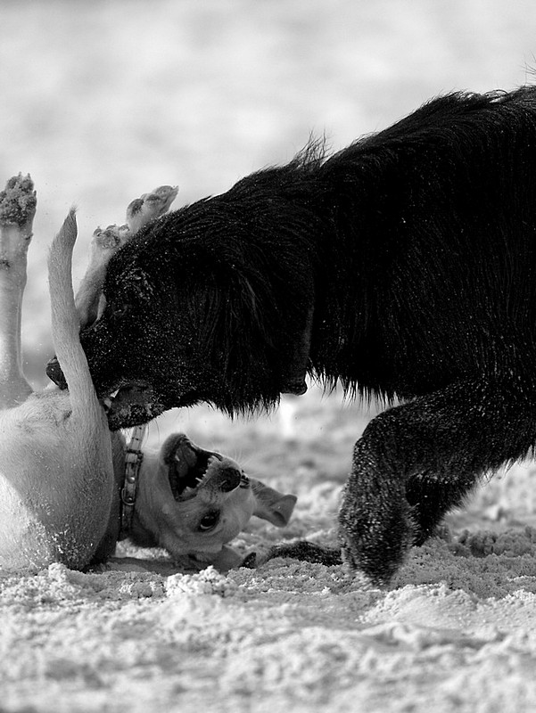 חח...חח.. אתה מדגדג..
