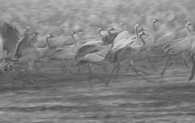 בתנועה מתמדת