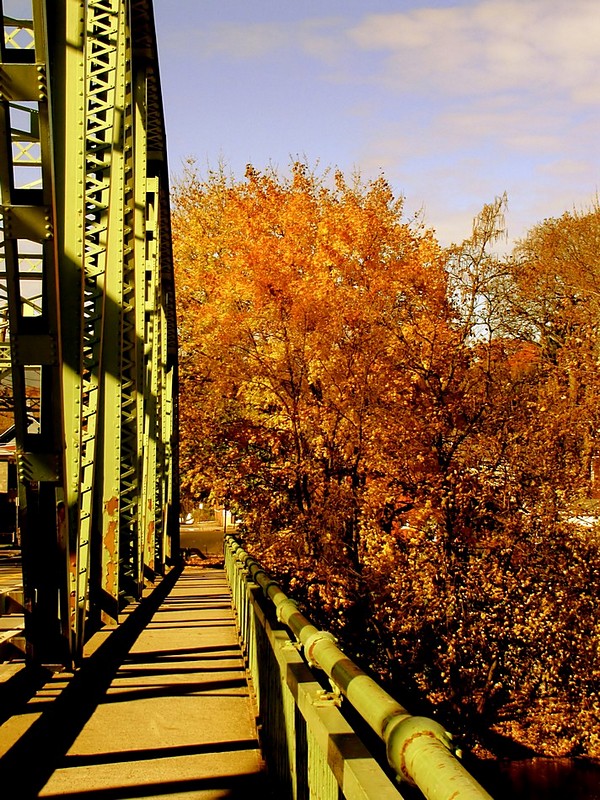 On the bridge