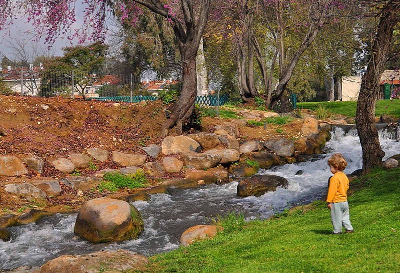 צילום: יוסי שניאור