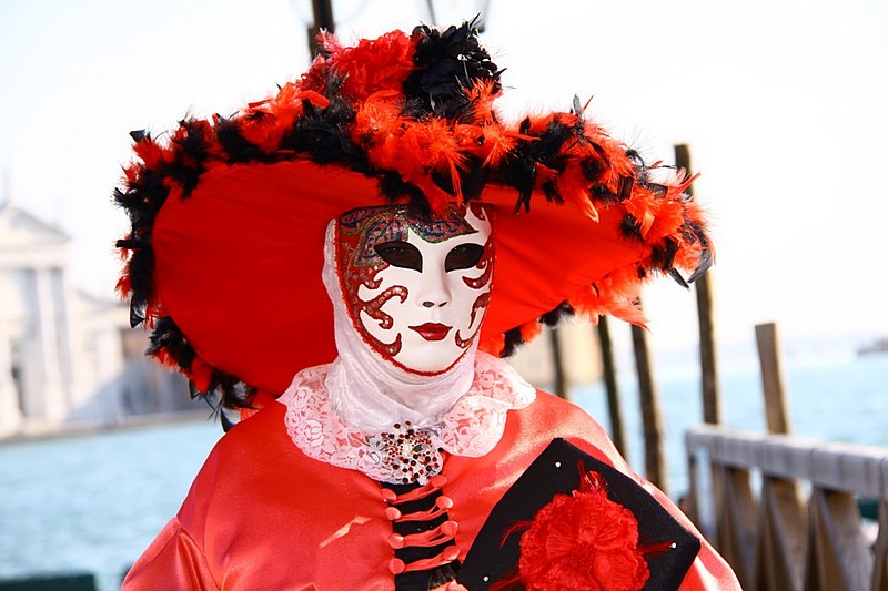 צילום: hayon moshe hayon