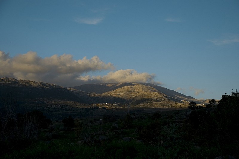 צילום: הודיה  ש