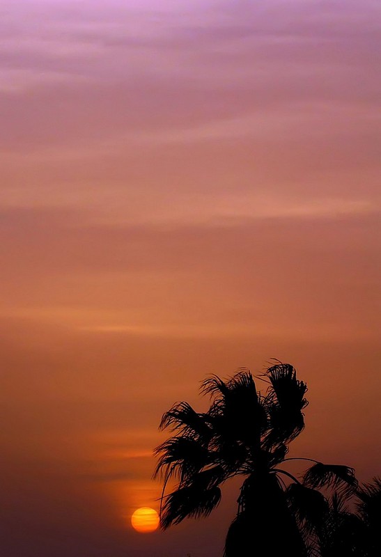 עוד  נגיעה , ודי ...