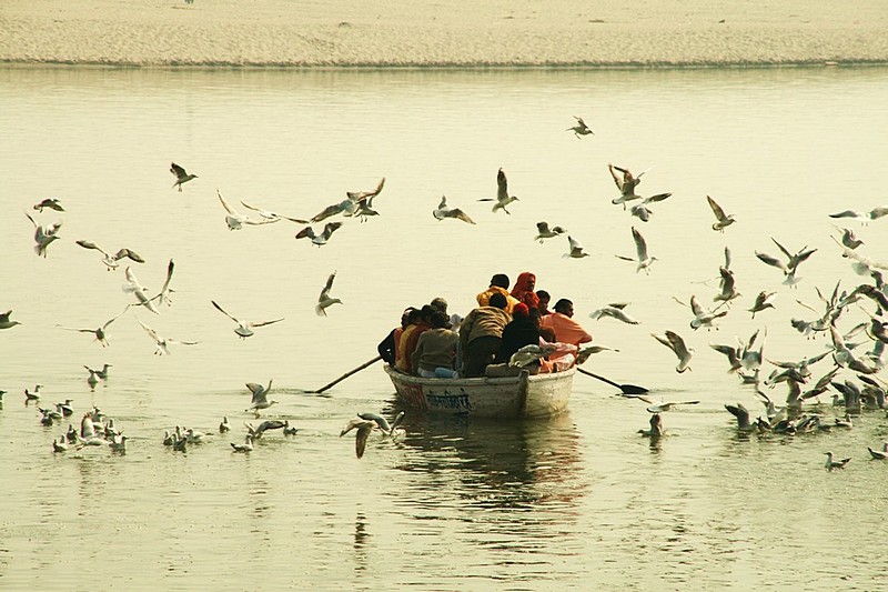 צילום: tamirgefen gefen