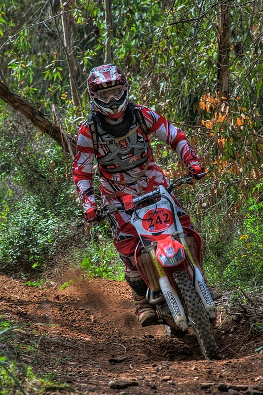 אנדורו ביער