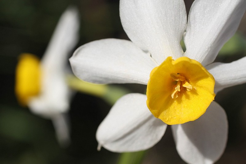 צילום: אור אלכסנברג