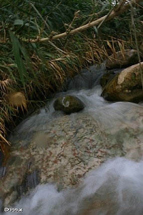 צילום: אבנר פניני