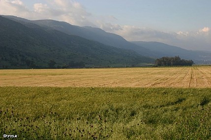 צילום: אבנר פניני