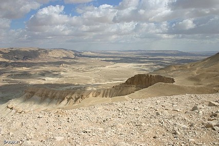 צילום: אבנר פניני