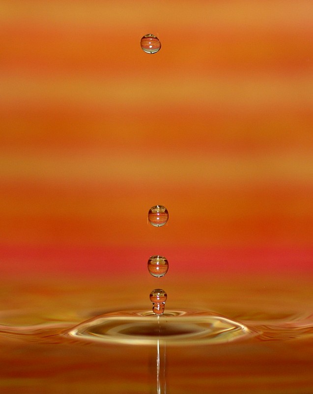 צילום: אור אלכסנברג