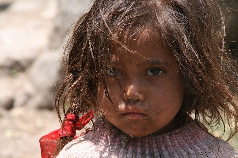 צילום: tamirgefen gefen