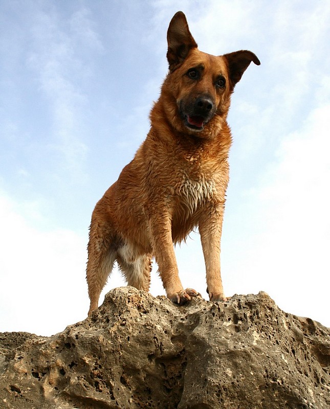 צילום: גילי שרון
